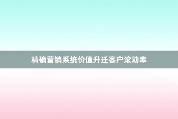 精确营销系统价值升迁客户滚动率