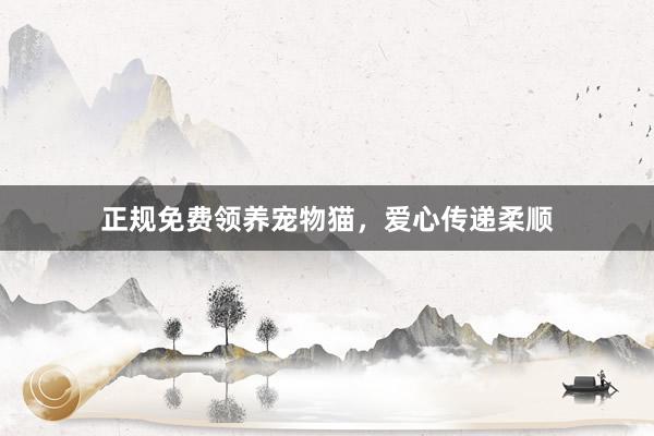 正规免费领养宠物猫，爱心传递柔顺